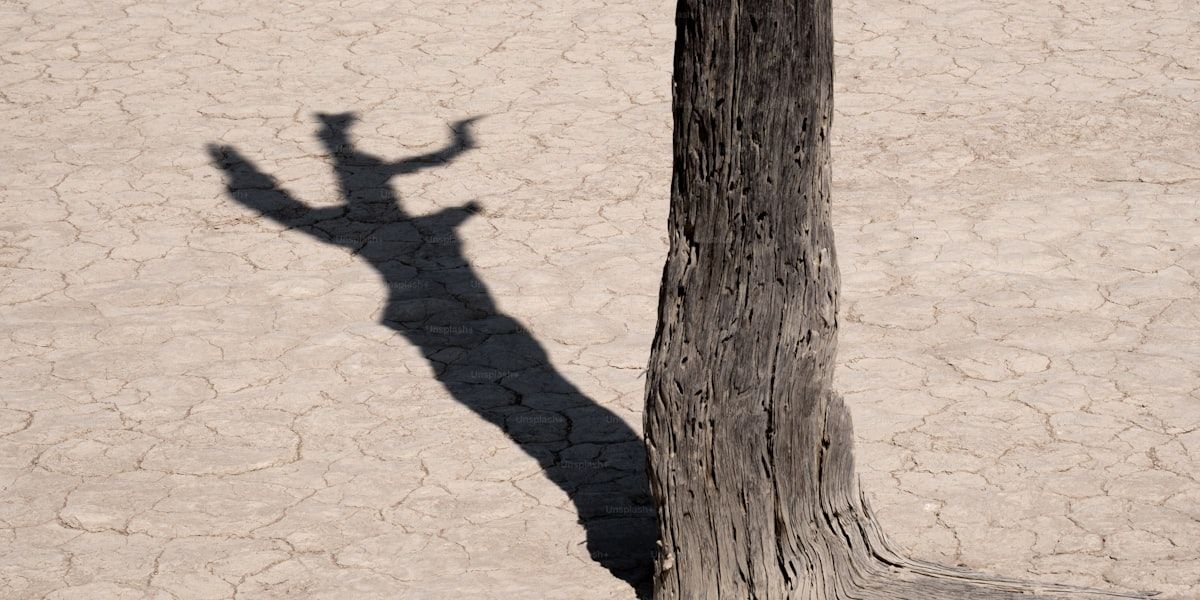 How Do I Know If a Tree Is Dangerous?