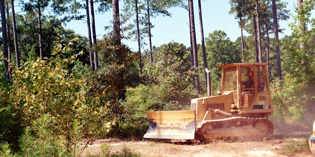 Site Clearance